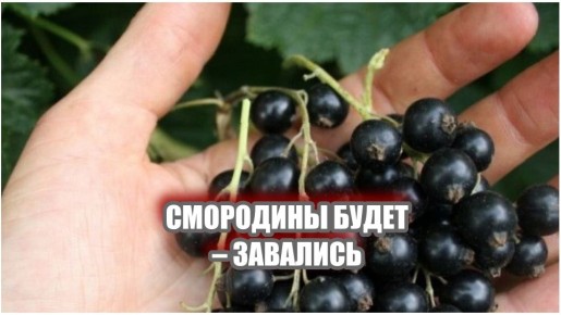 ��� ��������� �� ���������� � �������: ������� ��� �������� ������