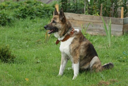 ������� ��������� ��� ��� ����� � �����: ������ � ���� ��� ����������� ������