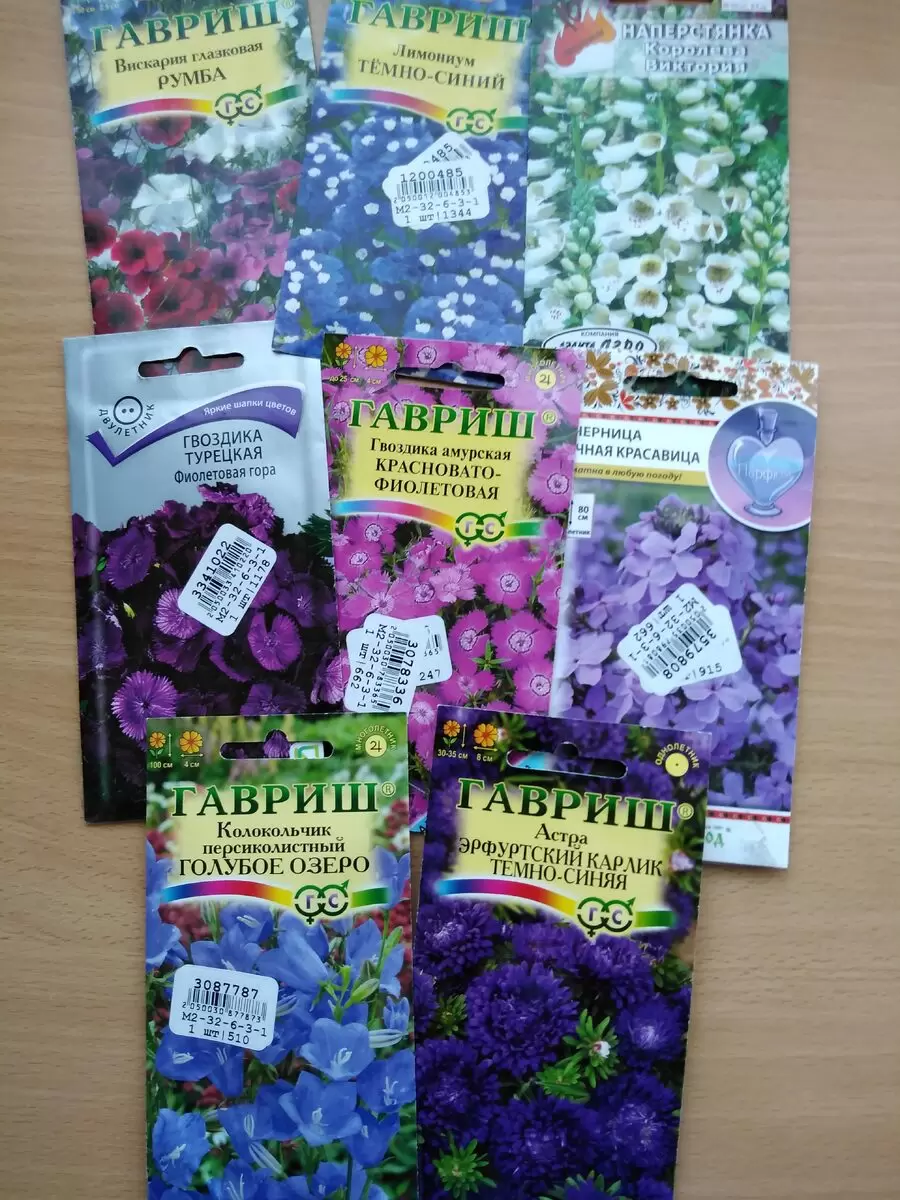 Эксперимент с сухим посевом: как расцвели цветы и что случилось с томатами