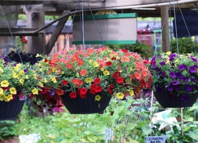 ������� ��������� ����� �� ����������: ��� �������� ������ ��������