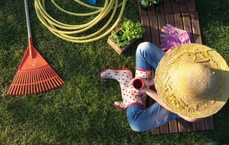 Аномальная сентябрьская жара: как сохранить урожай и защитить сад от небесных капризов