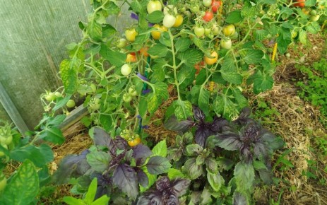 ������� ���������: ����� �������� ������� ����� ������� ����� �����