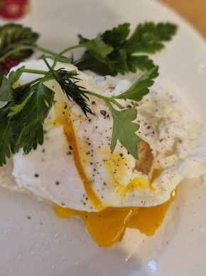 ��� ����� ����������� ��������� ���� �����: ������� ����������