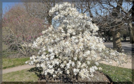 Основные вопросы дачников: советы по посадкам и уходу за урожаем