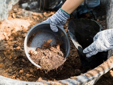 ��� ��������� ������� ����� ��� �������� ����������