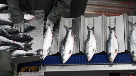 ���� �� ������� ���� ���������� ����������: ��� ���������� �� �����?