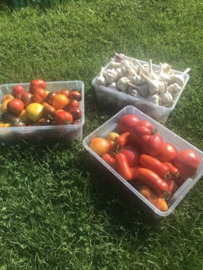 ������, ������� �������� ������: ������, ������������ � ������������ �����