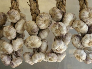 ������ � ������ � �����������: ��� ������� ���������� ������� ��� ������