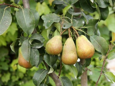 ��� �������� ������ � ����� �� ����� � �����: ������� ��������� ����� �� �������