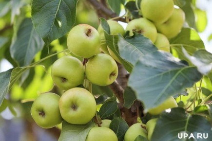 ������� ������� ����� �� �������� ��� ��������� ������