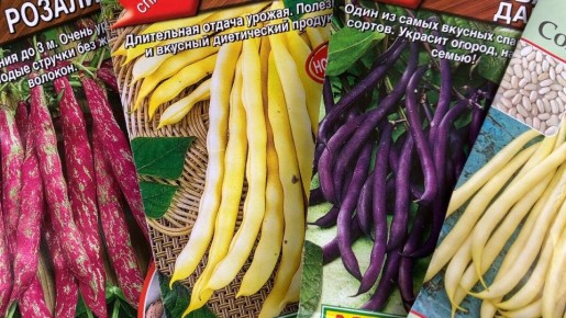 ��������� ������ � ������������� ���������