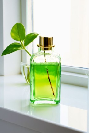 ���������� �����: ��������� ������� ������� � �������� � ����� ���� � ����