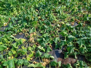 ������ ����� ������ �������? �� ������� � ����������