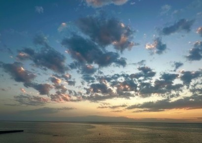 ������ ��������� ������� � ������: ������� ����������� �� �����