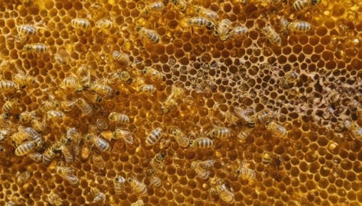 ��� � �����: ��������� ���� ��� ������� ���� � ������ � ����