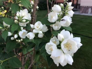 �������� � ����: ��� ������� ����������� ���� � ����� ���� �� ������