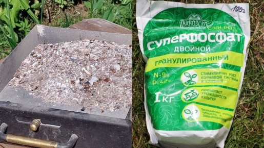 ��� ��������� ����������� ����� ��� ������� �����: ��� �������� ����������