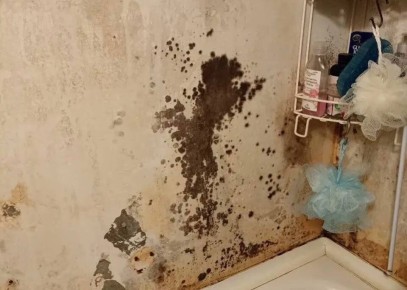 ������� � ��������: ������ � ��� ������ ��������