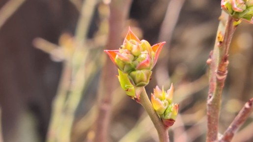 ��� ��������� �� ��������� ������ ��� �������� ������