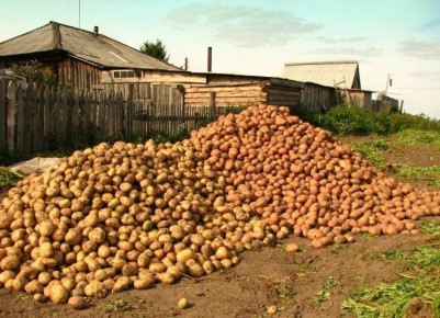 ������� �������� ���������: ��� �������� �����������