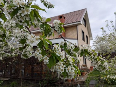 ��� ������ � �������� ����� ����: ������ ��� ���������