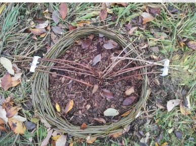 ��� �������� ��������� �� �������: ������� � ����������� ������� �������