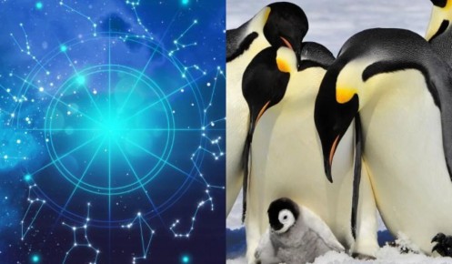 ��� ������� ������ ��������: ��� ������� ������