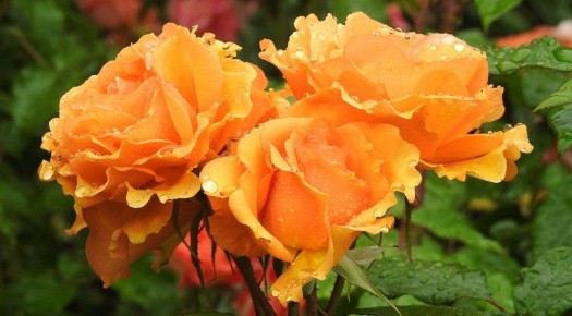 ��� �������� �������� ���: ������� ����� � �������