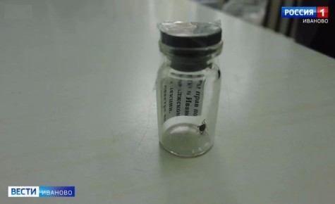 � ������ ������ ����� �������� ��� 133 ������� ���������� �������