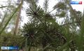 ���������� ������������ �� ������ ������ ��������� ��� 130 �������