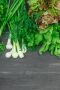 ��� ��������� ������ �� ����: ����������� ������ ����� � ���������