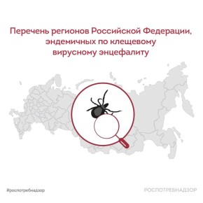 Роспотребнадзор составил список регионов, где повышенный риск заражения клещевым энцефалитом