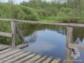 Жаркие выходные обернулись бедой!
