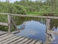 В Ивановской области в акватории р. Возополь вблизи н.п. Алешково Лухского района спасатели подняли тело мужчины