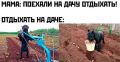 Дачные работы повышают риск инфаркта