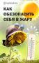 Солнце в зените: как защитить своё здоровье в жаркую погоду