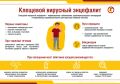 Почти в 2 раза выросло число жертв укусов клещей в Ивановской области
