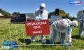 Встретить возможную эпидемию во всеоружии