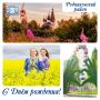 В День России свои дни рождения отмечают Родниковский, Тейковский и Приволжский районы, а также Шуя, Кохма и Савино