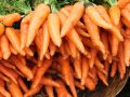 Как вырастить морковь сладкой, как мёд: секреты здоровья и вкуса для ваших грядок