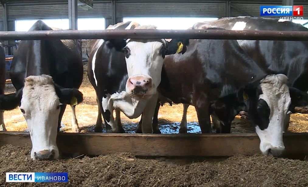 Свежую статистику по объемам производства животноводческой продукции опубликовал региональный департамент сельского хозяйства и продовольствия