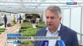 Тема топлива остается актуальной не только для водителей автотранспорта, но и для аграриев