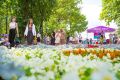 «Уводьфест»: программа для всей семьи к 155-летию города Иваново