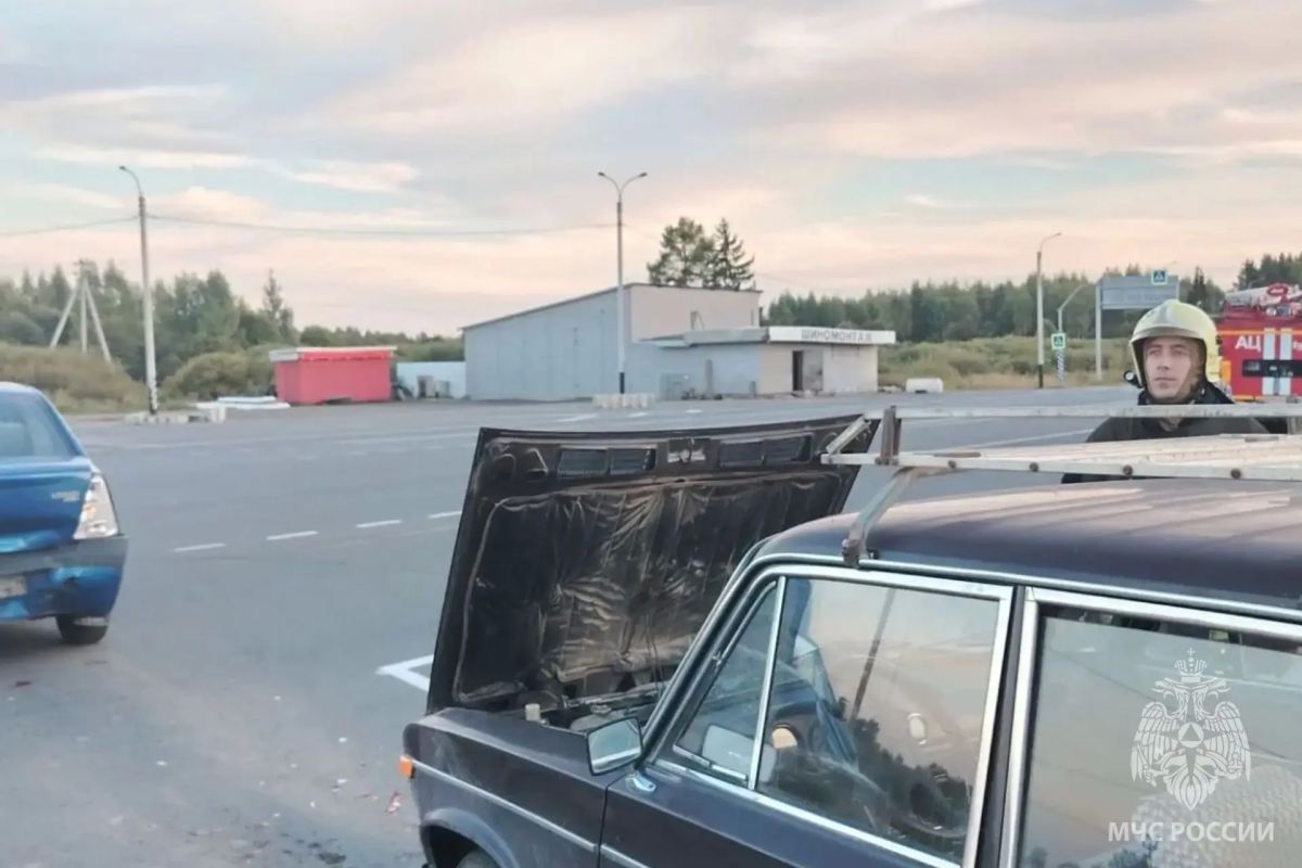 За минувшие сутки пожарно- спасательные подразделения: За минувшие сутки пожарно- спасательные подразделения: