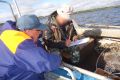 НАРУШЕНИЯ БЕЗОПАСНОСТИ НА ВОДЕ ВЫЯВЛЕНЫ — СУДОВОДИТЕЛИ ОШТРАФОВАНЫ