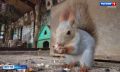 Ивановскому зоопарку исполняется 30 лет