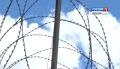Уроженец Кинешмы получил приличный срок за финансирование терроризма