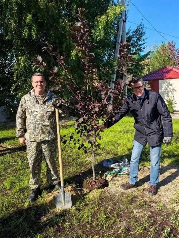Зеленеем вместе: в Югорске открылся новый сквер и высажено 45 деревьев! Зеленеем вместе: в Югорске открылся новый сквер и высажено 45 деревьев!