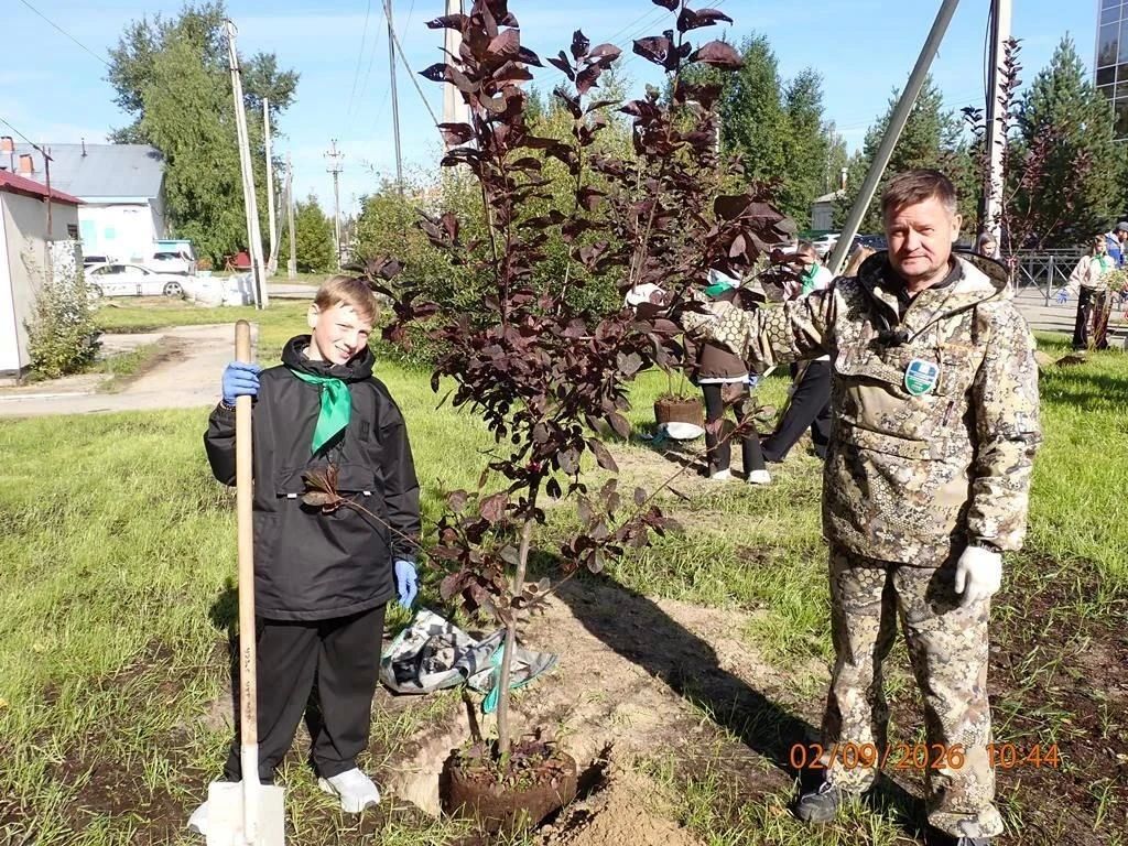 Зеленеем вместе: в Югорске открылся новый сквер и высажено 45 деревьев! Зеленеем вместе: в Югорске открылся новый сквер и высажено 45 деревьев!