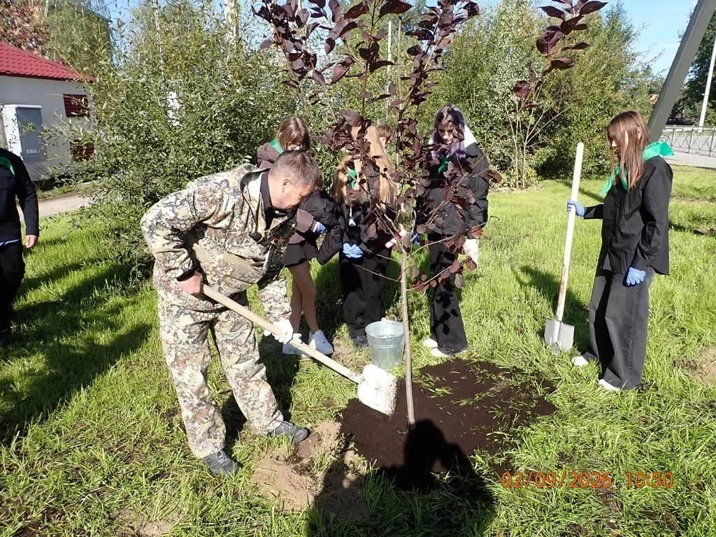 Зеленеем вместе: в Югорске открылся новый сквер и высажено 45 деревьев! Зеленеем вместе: в Югорске открылся новый сквер и высажено 45 деревьев!